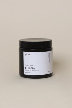 Poudre de chaga, champignon adaptogène antioxydant