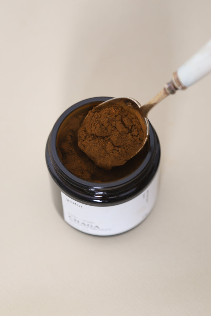 Poudre de chaga, champignon adaptogène antioxydant